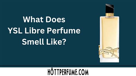 ysl libre fragrance family|YSL libre smells like.